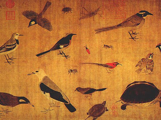 ‘Tả sinh trân cầm đồ’ – Bức vẽ độc đáo về chim của danh họa thời Tống